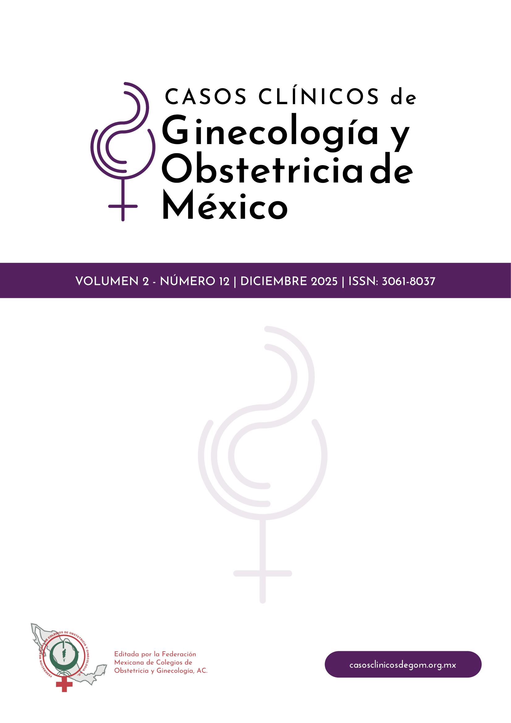 Portada 2025-v2-n2